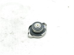 Крышка радиатора H.STAREX GRAND с 07-11г.,PORTER с 09-11г.,i30,SONATA YF/NF,SOLARIS,TERRACAN,TUCSON,ACCENT,GETZ,ELANTRA до 11г.,COUPE,K.BONGO III,CERATO,MORNING/PICANTO,OPTIMA,SORENTO,SOUL,RIO и бачка расширительного SORENTO до 06г.,S.Y.ISTANA ориг. (2533 - фото 34117