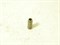 Направляющие втулки клапанов K.BESTA V2.2 дв.R2,RF (0K770-10280/0K770-10290)  KVG  IN/EX (компл.8шт) (D наруж.14,d внутр.8, H 40,5 мм) - фото 28124