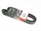 Ремень ручейковый 4 PK 890 H.AVANTE HD/ELANTRA с 06г.TUCSON,K.CERATO,SPORTAGE NEW V2.0 DOHC (4PK890/25212-23700/25212-23721)  GATES  генератора - фото 37119